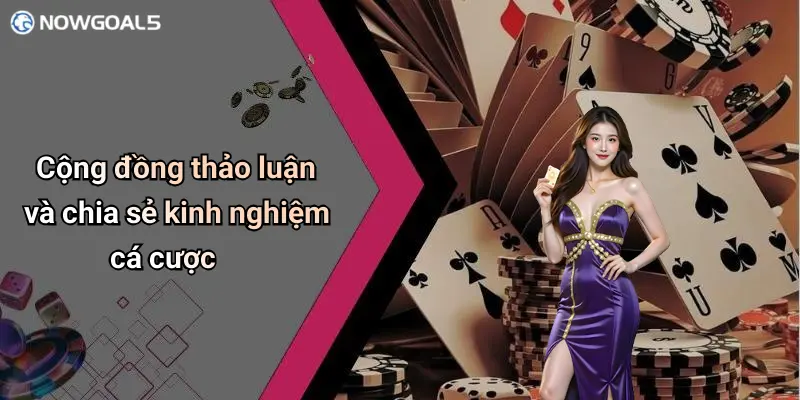 Cộng đồng thảo luận và chia sẻ kinh nghiệm cá cược