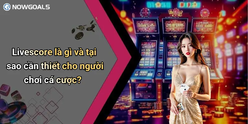 Livescore là gì và tại sao cần thiết cho người chơi cá cược?