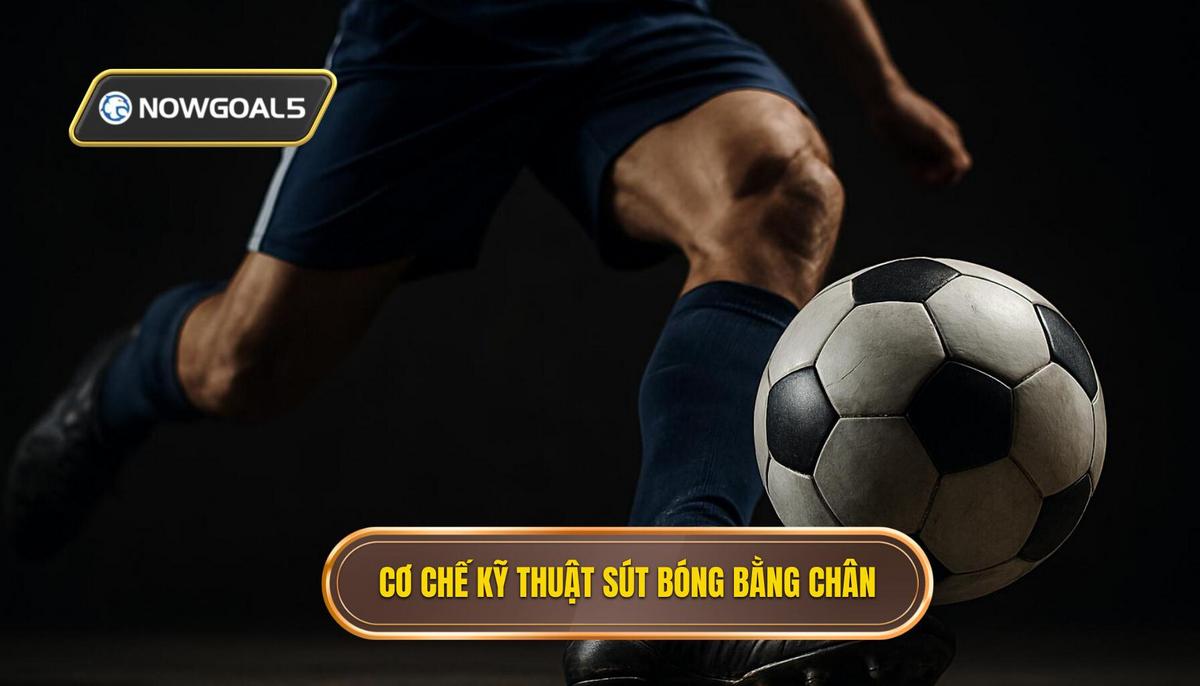 Cơ Chế Hoạt Động Của Kỹ Thuật Sút Bóng Bằng Đầu Ngón Chân