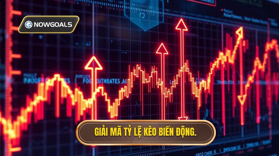 Giải mã tỷ lệ kèo biến động